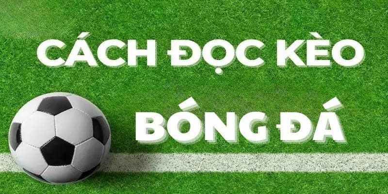 Tránh những sai lầm phổ biến trong cách đọc kèo nhà cái